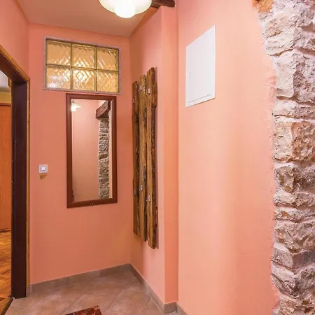 Puzari Vi Pićan