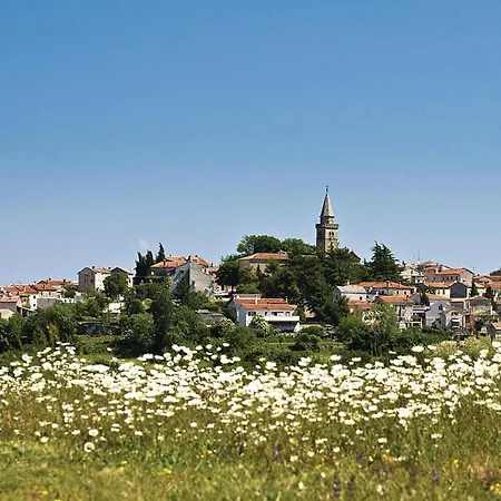 Puzari Vi