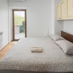Puzari Vi * Pićan