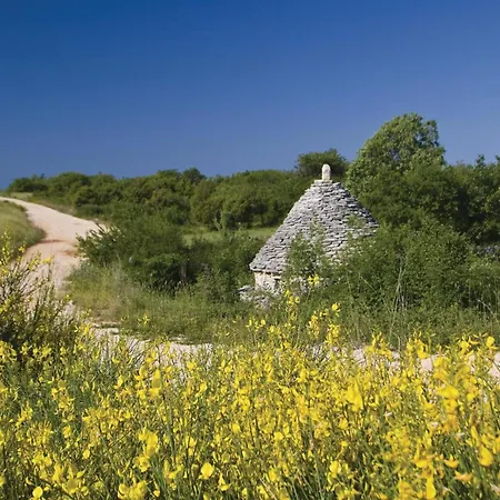 Holiday Home Puzari VI * Pican